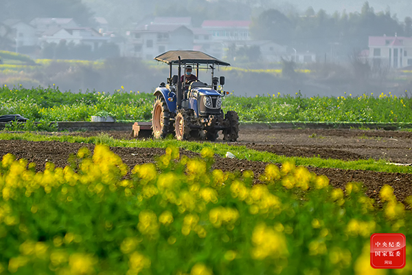 1616484597669846.jpg 镜头3.jpg