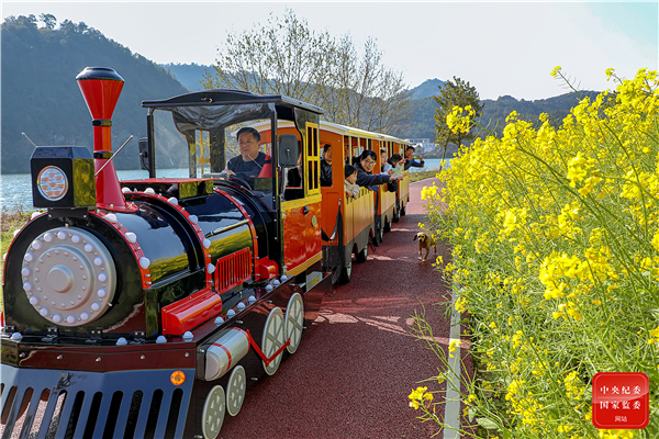 1616484588247005.jpg 镜头2.jpg