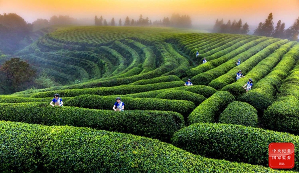 1616572996927679.jpg 镜头1.jpg