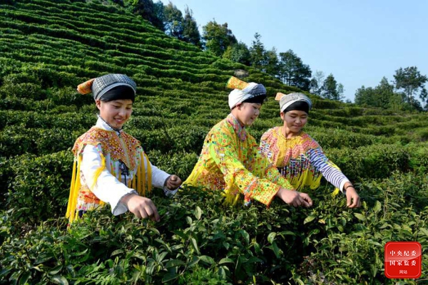 1616573024885268.jpg 镜头5.jpg