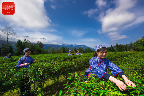 1608692437464960.jpg 镜头4.jpg