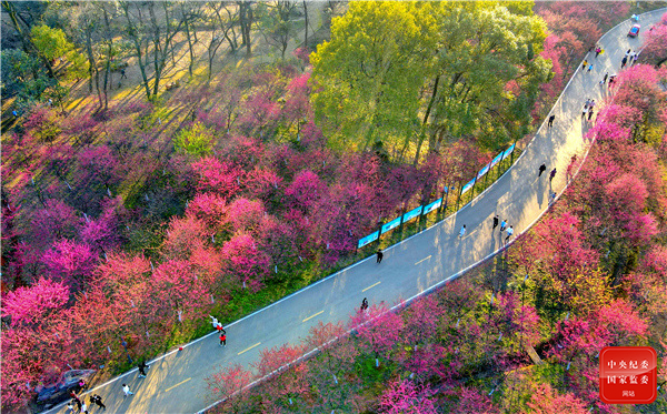 1616484577854687.jpg 镜头1.jpg