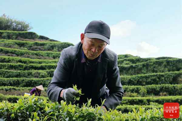 1616573029913105.jpg 镜头6.jpg