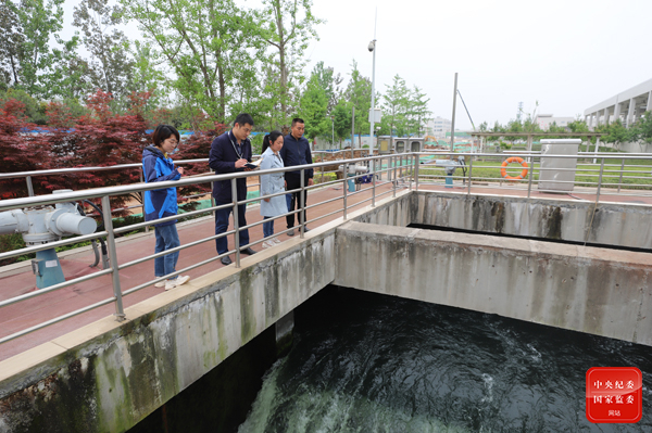 1618904270334437.jpg 5.jpg