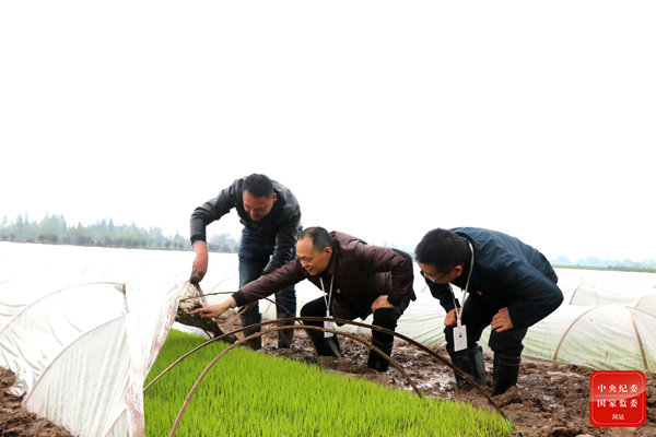 1618904254841128.jpg 3.jpg