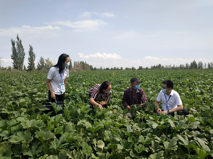 31069aee109c885a053c74775d241b4b.png 图片4.png