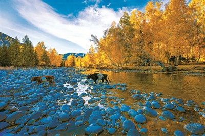 1640300205846368.jpg wKinm2HE5PqAMC71AAIfVCnlWIc086.jpg