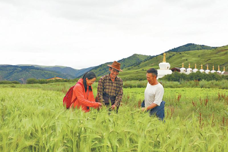 24ea4a6906d7fc80ceb0a8386ad09edf.jpg 24ea4a6906d7fc80ceb0a8386ad09edf.jpg