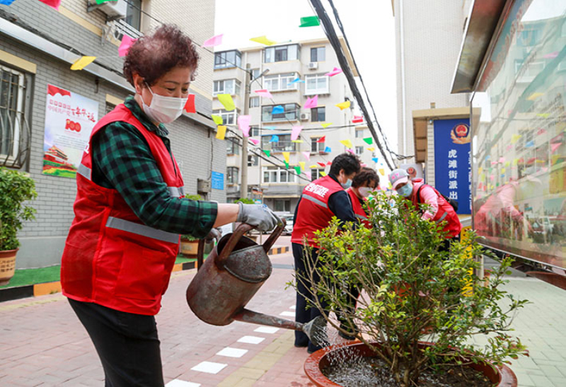 志愿者服务队在和合大院内美化小区环境。