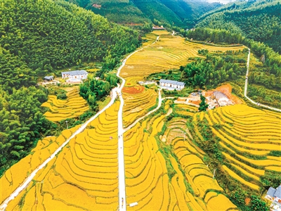 1678401088524771.jpg wKinm2QKRNqASkmJAAKU4SJksKU868.jpg