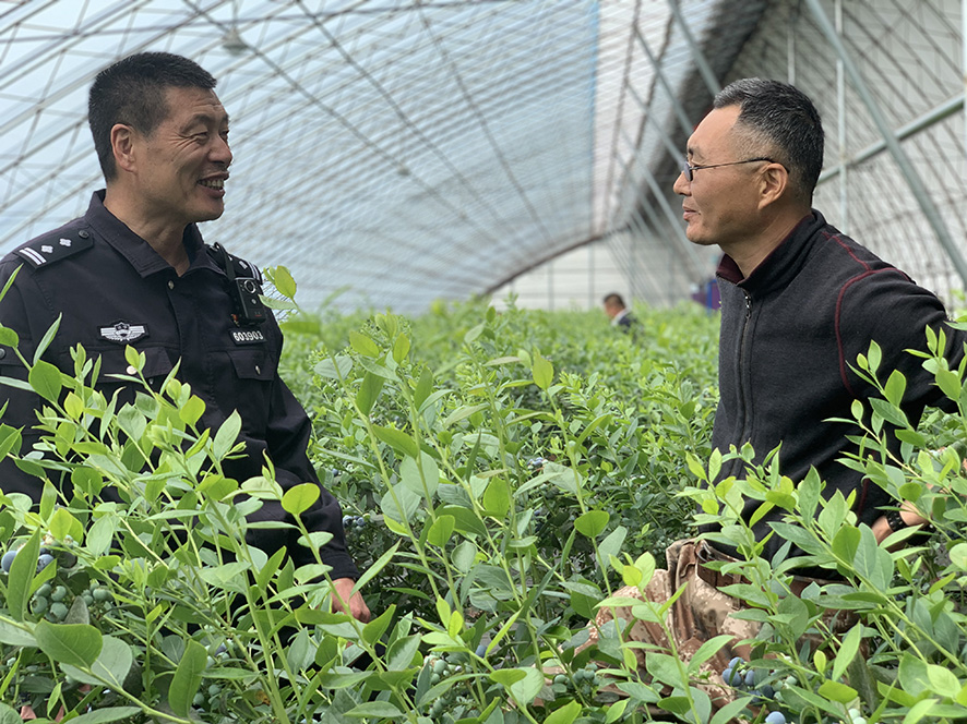 孙敬东(左)正在同村委会工作人员唠村里事