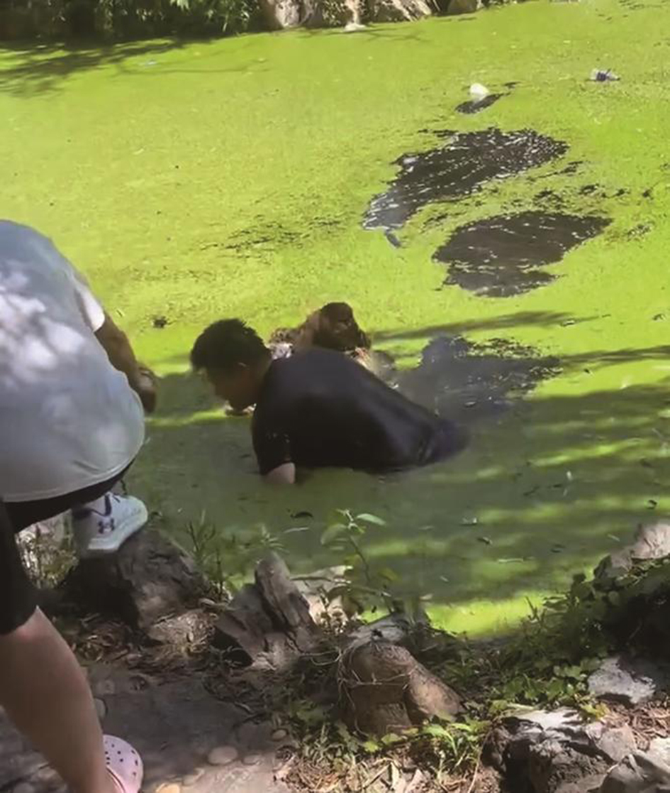 男子迅速抓住大娘将她往岸边拖。