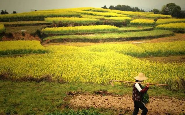 1687664739341008275.jpg 1.jpg