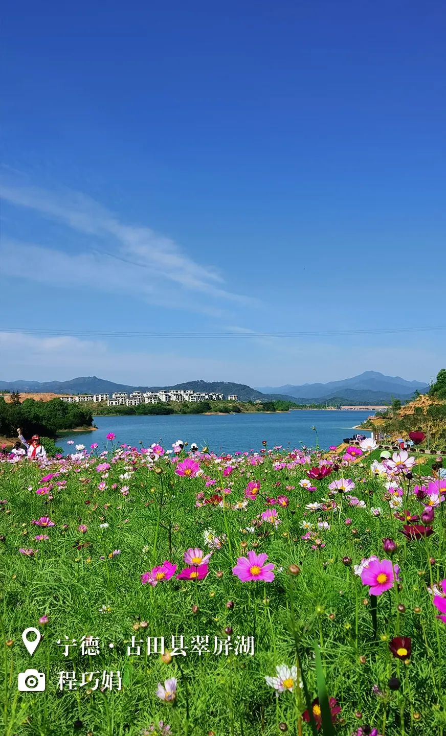 （3月31日省微已发）闽天福地丨天朗气清，我们一起踏春去