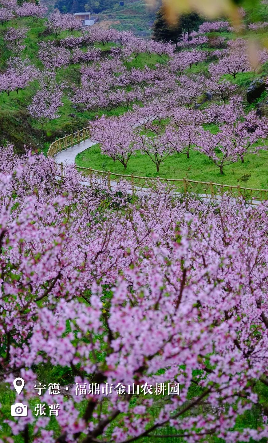 （3月31日省微已发）闽天福地丨天朗气清，我们一起踏春去