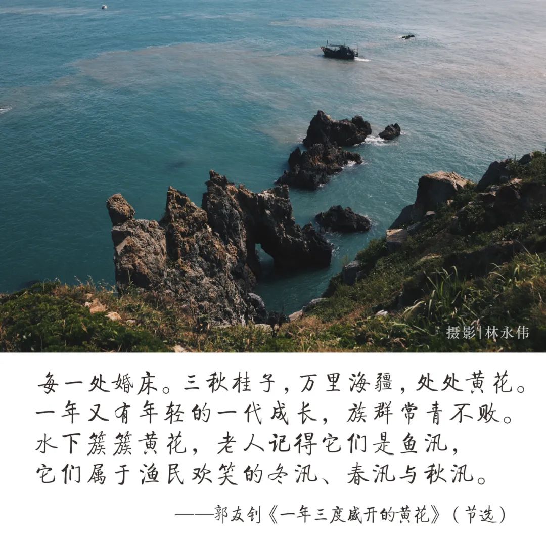 八闽风雅丨山海交响，是歌亦是诗