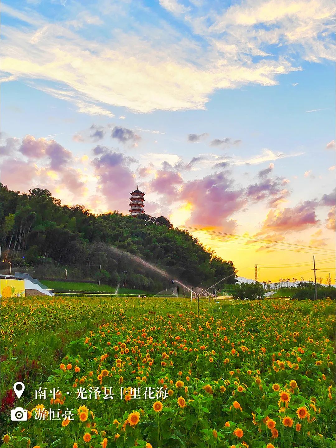 （3月31日省微已发）闽天福地丨天朗气清，我们一起踏春去