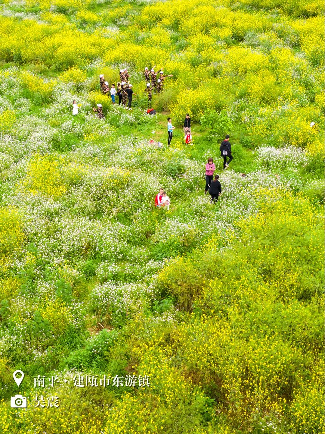 （3月31日省微已发）闽天福地丨天朗气清，我们一起踏春去