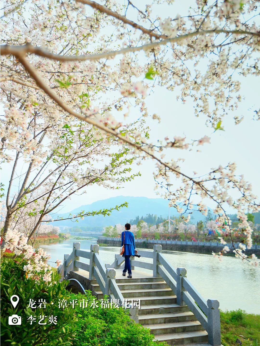 （3月31日省微已发）闽天福地丨天朗气清，我们一起踏春去