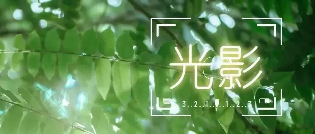 （“福建纪检监察”微信公众号4月7日刊发）光影丨漫步坊巷，一阙古韵春意