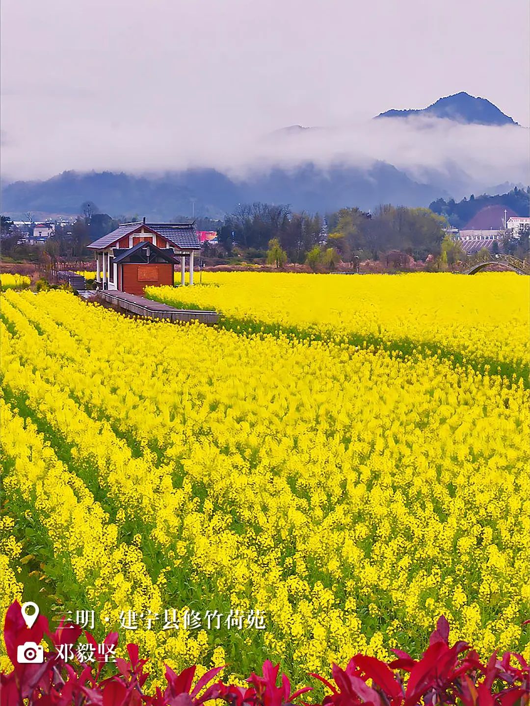 （3月31日省微已发）闽天福地丨天朗气清，我们一起踏春去