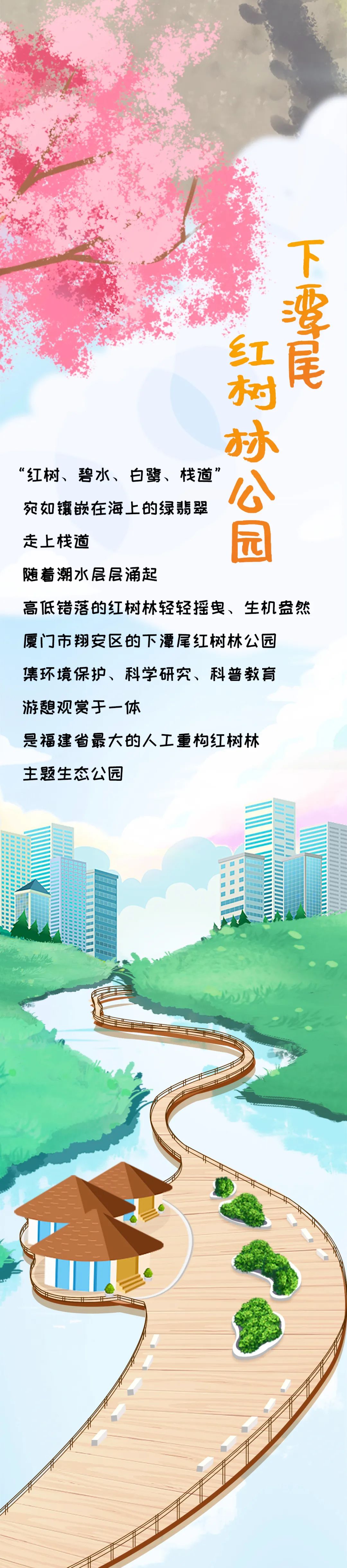 闽天福地丨“厦门实践”绘就“鹭岛画卷”