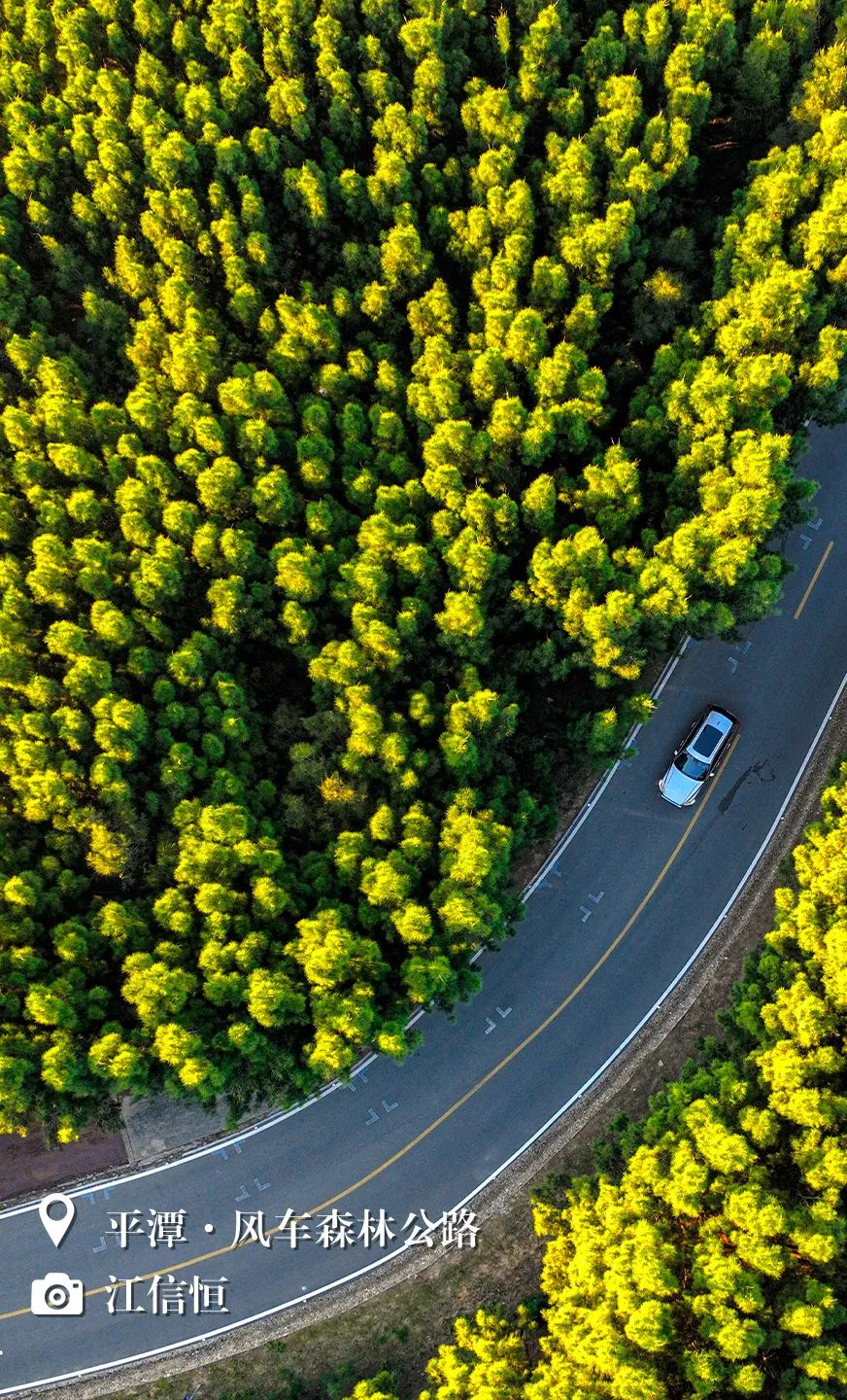（3月31日省微已发）闽天福地丨天朗气清，我们一起踏春去