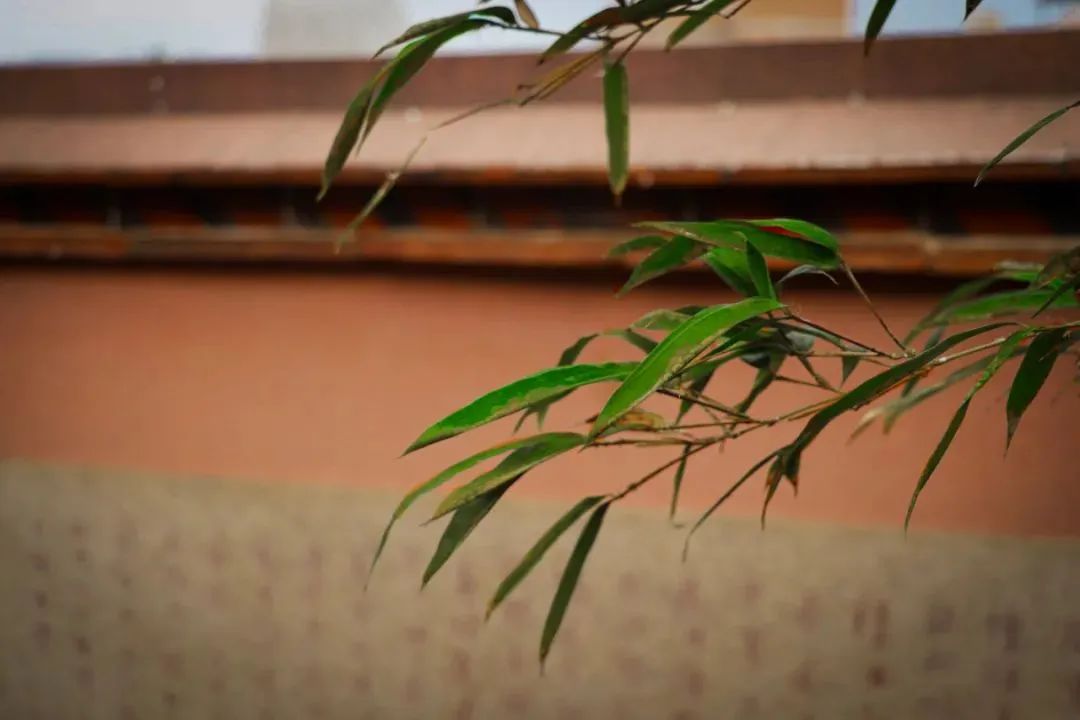 古厝廉韵丨九龙江畔，探访“白石”背后的百年流芳