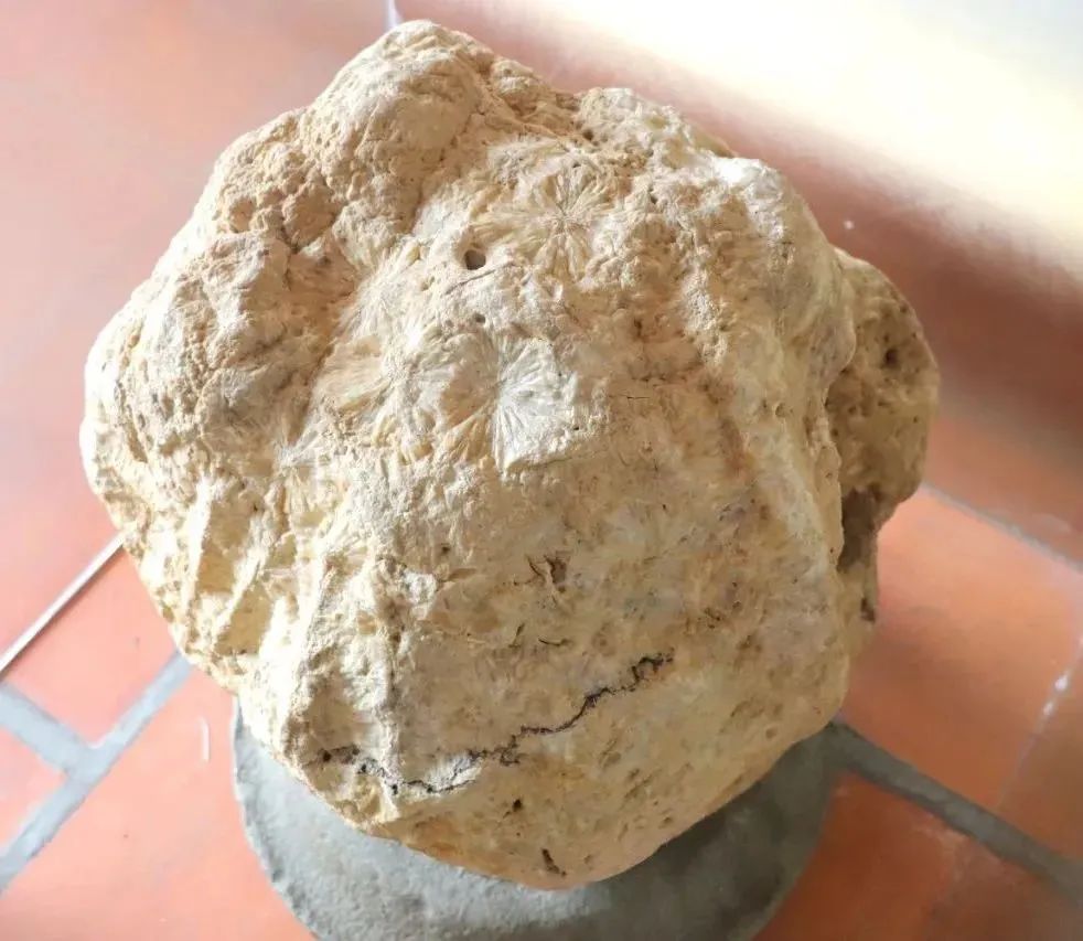 古厝廉韵丨九龙江畔，探访“白石”背后的百年流芳