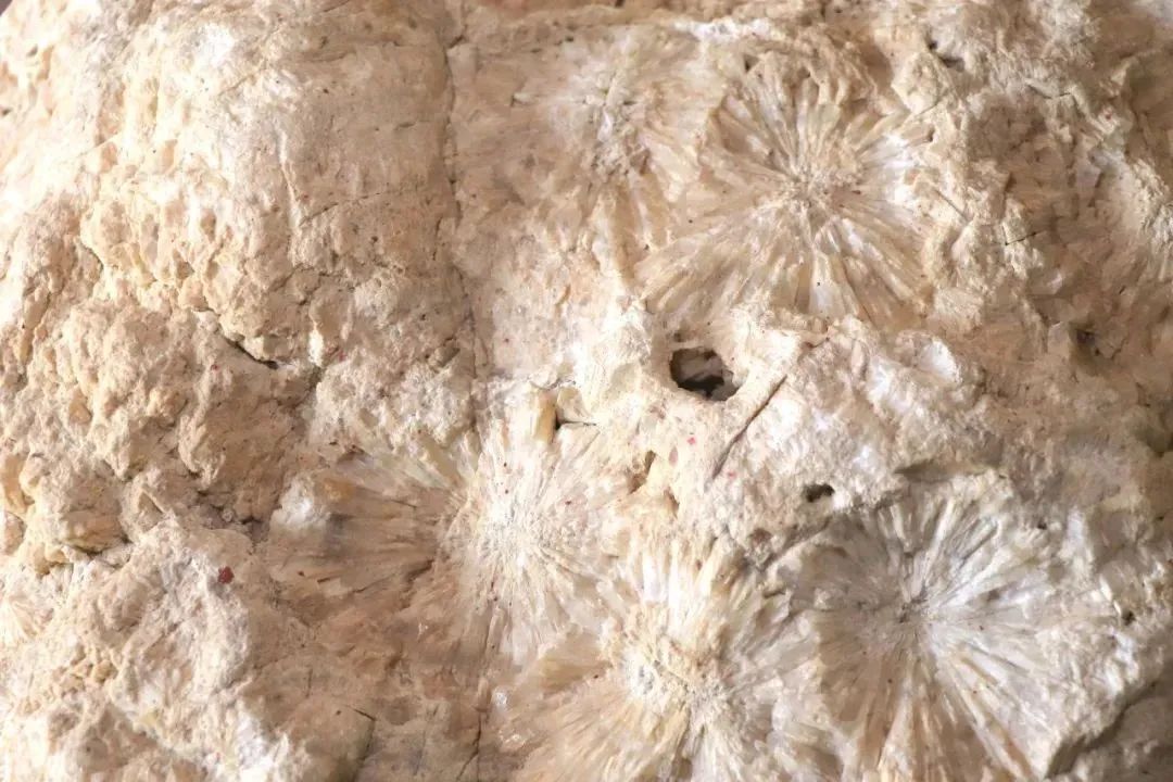 古厝廉韵丨九龙江畔，探访“白石”背后的百年流芳