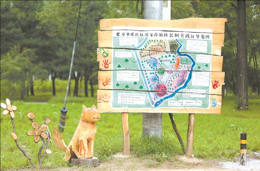 北京首个林长制实践区投入使用