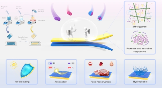 智能活性包装助力畜产品防腐保鲜 智能活性包装助力畜产品防腐保鲜