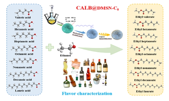新方法可绿色高效制备食品特征风味酯 新方法可绿色高效制备食品特征风味酯