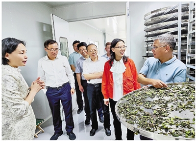 做深做实人大监督 助力缩小“三大差距”