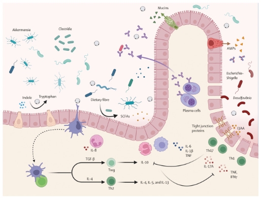 从病原体到肠道共生伙伴的新认知 从病原体到肠道共生伙伴的新认知