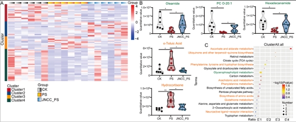 黄麻纳米纤维素可作为微塑料的“解毒剂” 黄麻纳米纤维素可作为微塑料的“解毒剂”