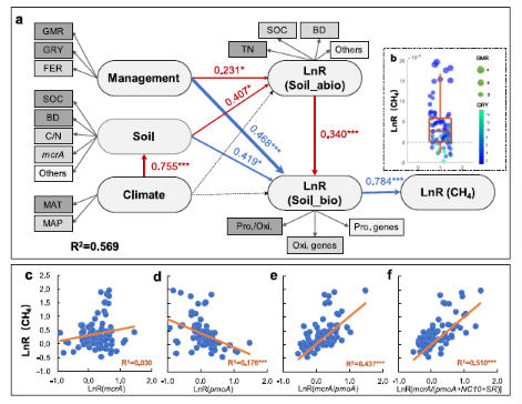 长期绿肥轮作降低稻田甲烷排放 长期绿肥轮作降低稻田甲烷排放
