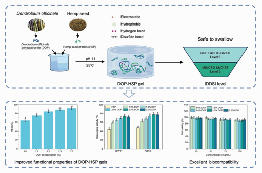 新型易吞咽食品助力老年营养安全饮食 新型易吞咽食品助力老年营养安全饮食