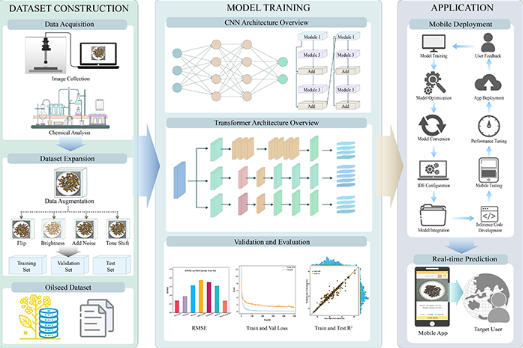 秒测!AI视觉技术让油菜籽品质检测像扫码一样简单 秒测!AI视觉技术让油菜籽品质检测像扫码一样简单