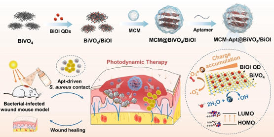新型仿生纳米喷雾实现精准抗菌 新型仿生纳米喷雾实现精准抗菌