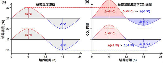 温度波动加剧酸性红壤碳矿化 温度波动加剧酸性红壤碳矿化