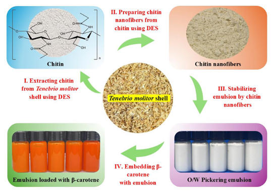 绿色新技术可从昆虫壳中高效提取甲壳素 绿色新技术可从昆虫壳中高效提取甲壳素
