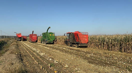 市农业中心成功举办天津市2025年“三秋”机械化生产田间日活动3 市农业中心成功举办天津市2025年“三秋”机械化生产田间日活动3