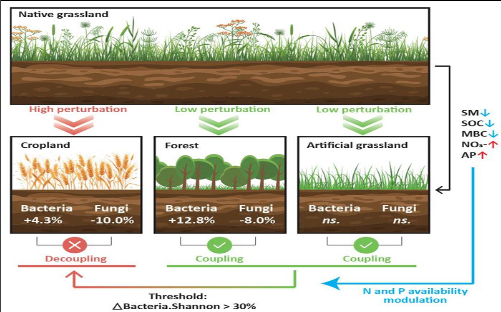 草地利用方式改变打破土壤微生物多样性平衡 草地利用方式改变打破土壤微生物多样性平衡