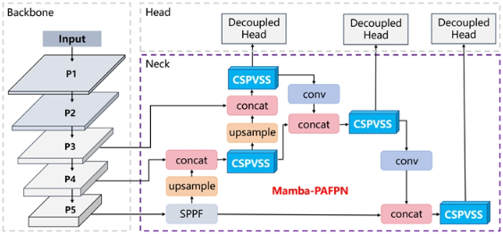 视觉感知新模型精准监测仔猪攻击行为