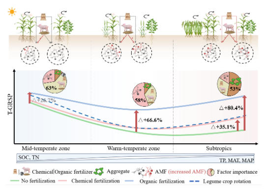 长期施肥调控球囊霉素优化区域施肥策略 长期施肥调控球囊霉素优化区域施肥策略