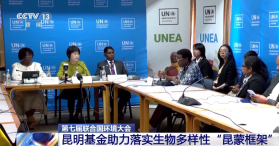 第七届联合国环境大会举行，昆明基金助力落实生物多样性“昆蒙框架”