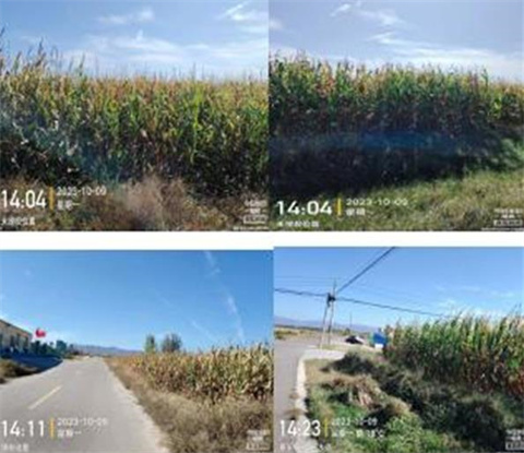 360截图20231010172119330